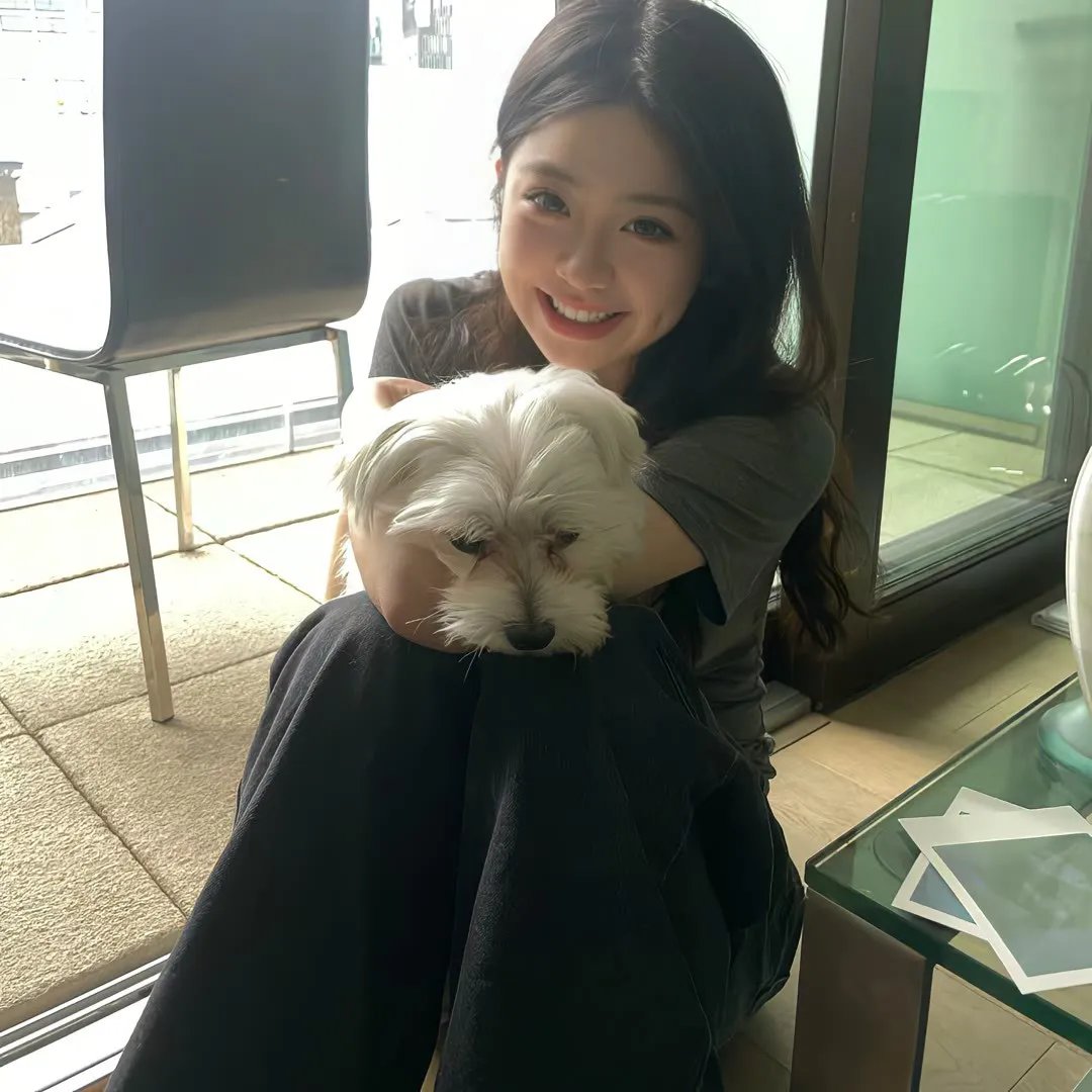 王冠的游戏:都铎家族